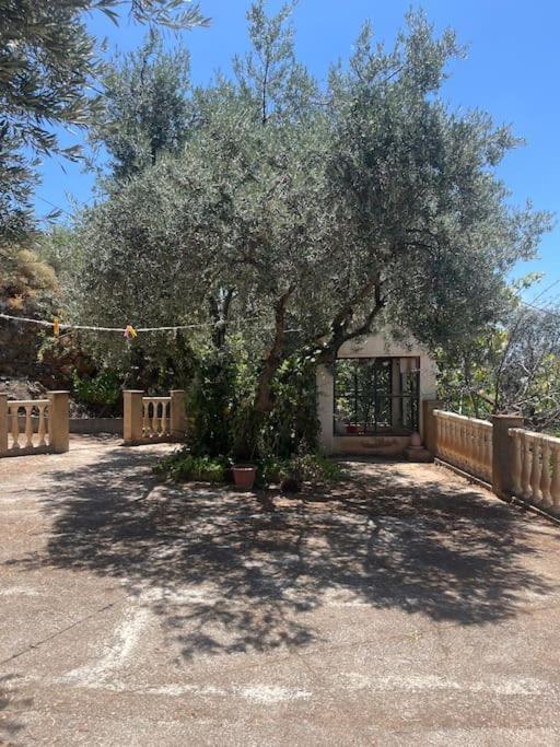 Farmhouse Surrounded By Centenary Olive Trees Олиас Экстерьер фото